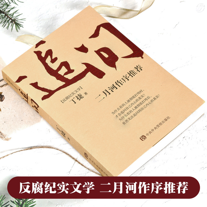 [醉染正版]追问 丁捷著 电视剧狂飙姊妹篇 丁捷著 二月河作序推荐 反腐纪实文学 从严治党背景下的反腐警示录 沧浪之水阎高清大图