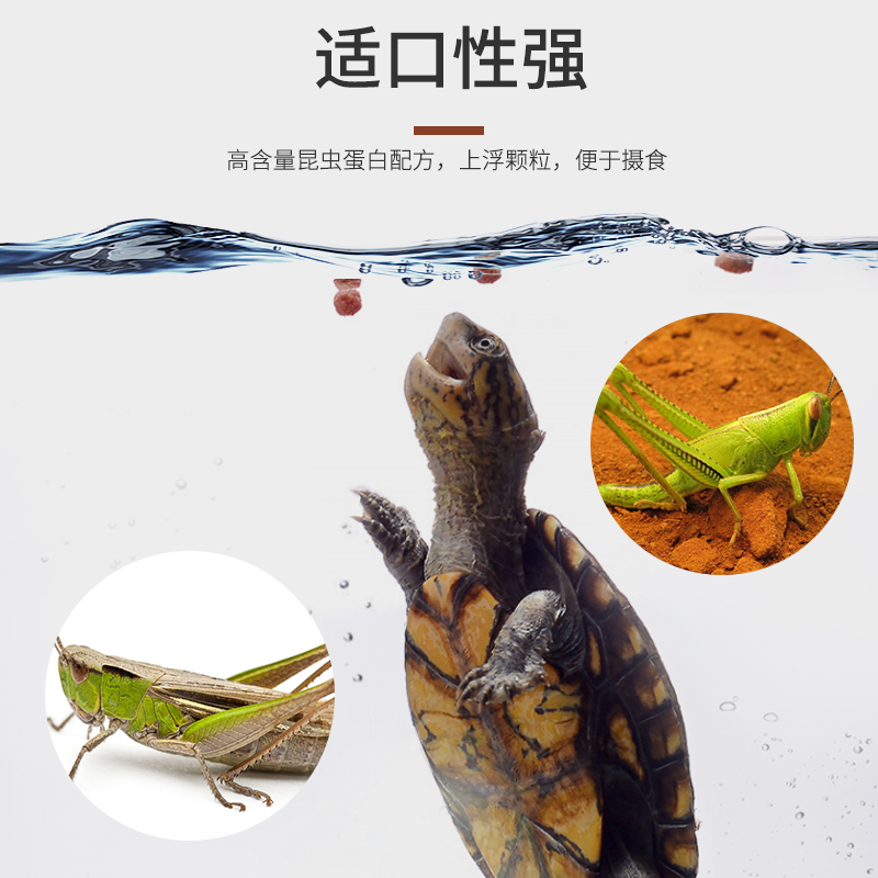 惊蛰善玉菌增色龟粮发色饲料水龟半水蛋龟巴西龟鲸蛰德彩水龟粮高清大图