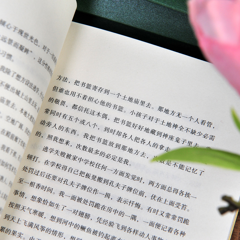 [正版]从文自传 沈从文 现代文学经典书籍排行榜 文学读物 初中学生课外书阅读 名著阅读高清大图
