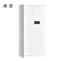 湘渭文件柜电子密码锁财务档案柜保险柜资料柜铁 通体密码锁