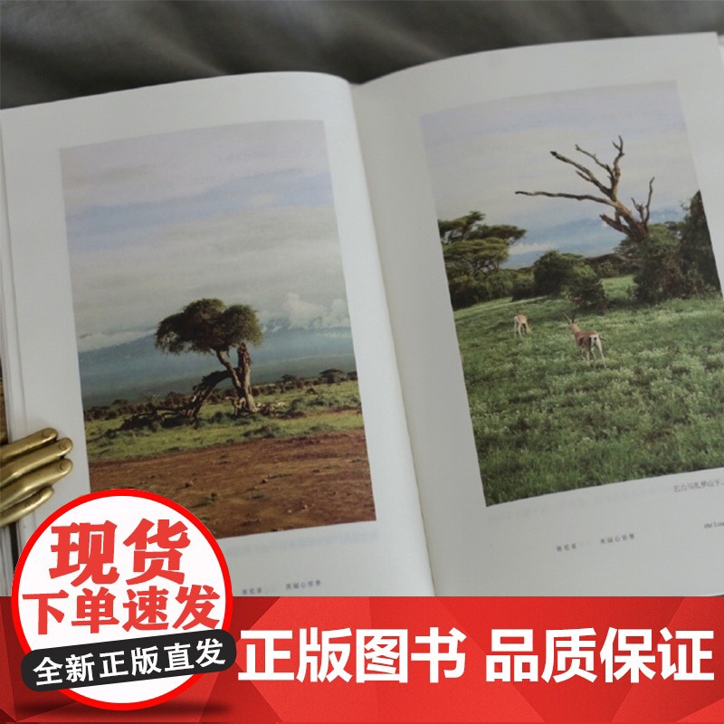 分开旅行(精装版)正版书籍陶立夏代表作 全新精装典藏版 随书附赠精美明信片 一场别离,一段唯美清新的情感愈疗之旅高清大图