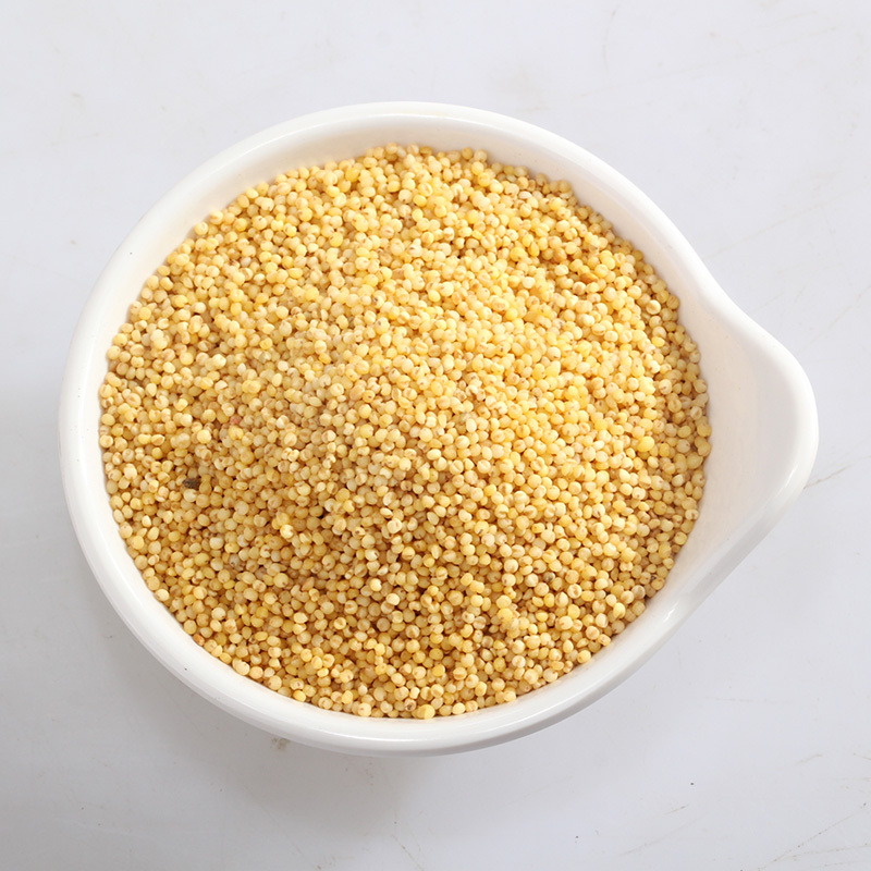 燕之坊黄小米小米粥小黄米新米农家有机小米粗粮