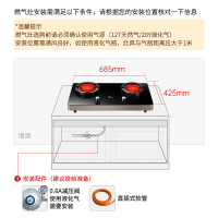 红日(RedSun)红外线燃气灶家用液化气煤气灶台智能定时双眼灶双炉灶双灶大火力节能灶ES009B