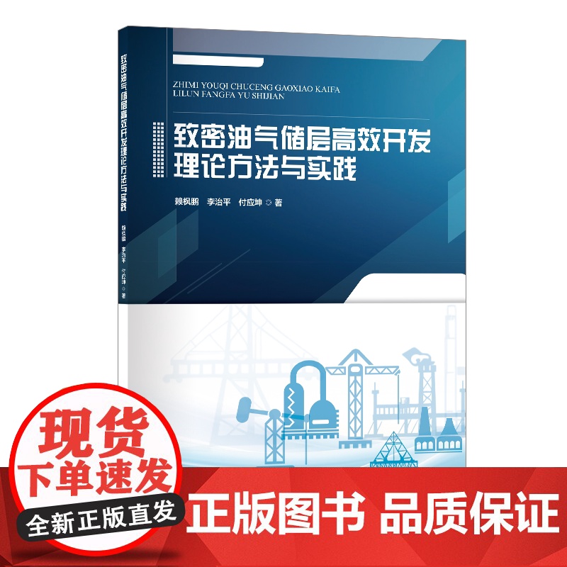 致密油气储层高效开发理论方法与实践高清大图