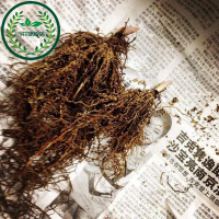 德国进口铃兰花苗根带芽货防辐射球根种根花卉绿植盆栽套装