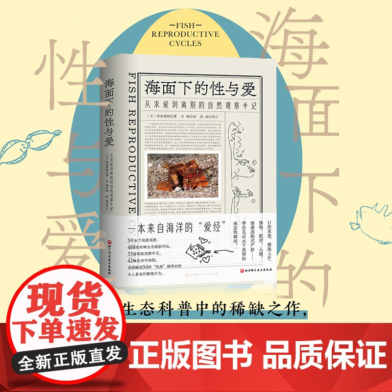 海面下的性与爱 从求爱到离别的自然观察手记 海洋科普 摄影作品 海洋生物 北京科学技术高清大图