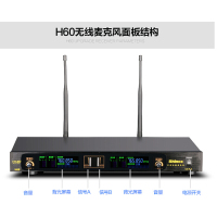 新科(Shinco)H60无线U段麦克风 家用KTV话筒一拖二 卡拉OK家庭会议舞台K歌话筒