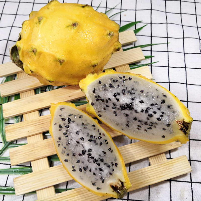 顺丰配送1号鲜客freshman麒麟果净重500g新鲜水果黄色火龙果香甜燕窝