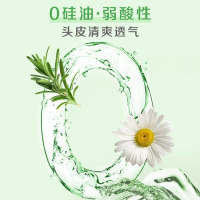苏宁自营 惠润柔净洗发露(绿野芳香)600ml 柔顺控油清爽去屑 原装进口 洗发露洗发膏