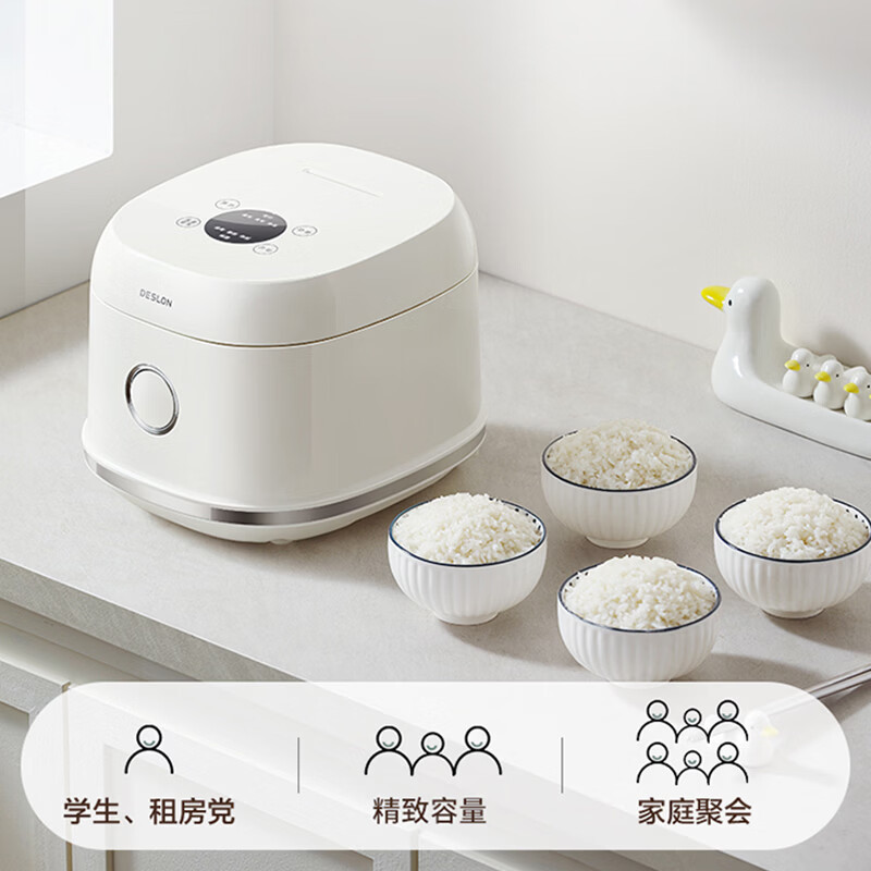 德世朗微电脑电饭煲106DDQ-FB505高清大图