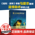 正版童书 萤火谷的梦想家 精装获奖儿童文学故事书二三四五年级非注音8-9-10岁青少年励志成长文学小说小学生课外阅读书励