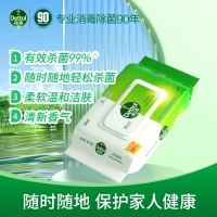 滴露(Dettol) 卫生湿巾 消毒湿巾 50片 *2包