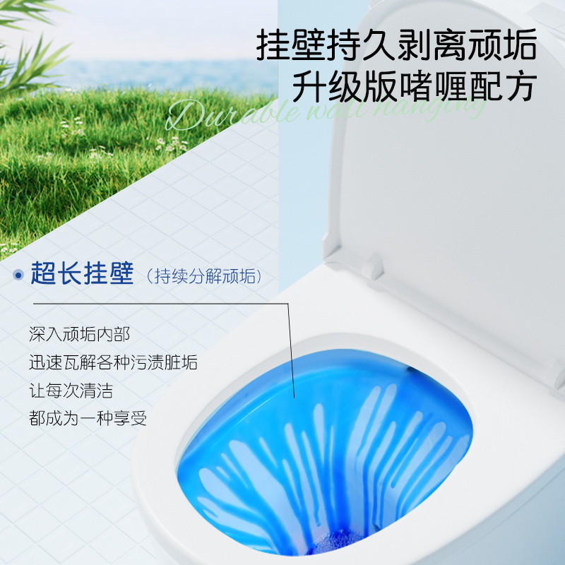 蓝漂洁厕灵洁厕液厕所马桶清洁剂强力除垢去渍去异味家用卫生间洁厕剂500g/瓶 罗兰清香 500g*1瓶高清大图