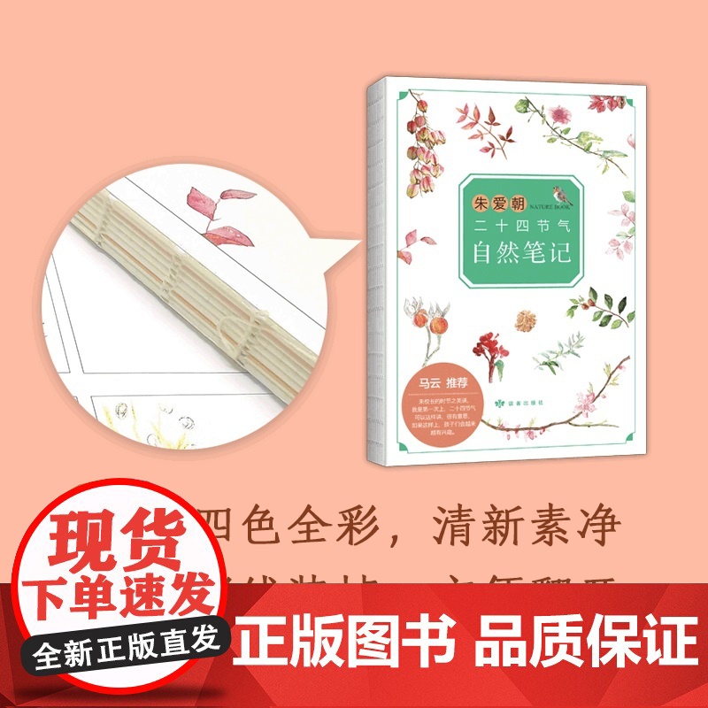 朱爱朝二十四节气自然笔记 马云 二十四节气 自然观察 小学生书目 课外阅读 7-10岁高清大图