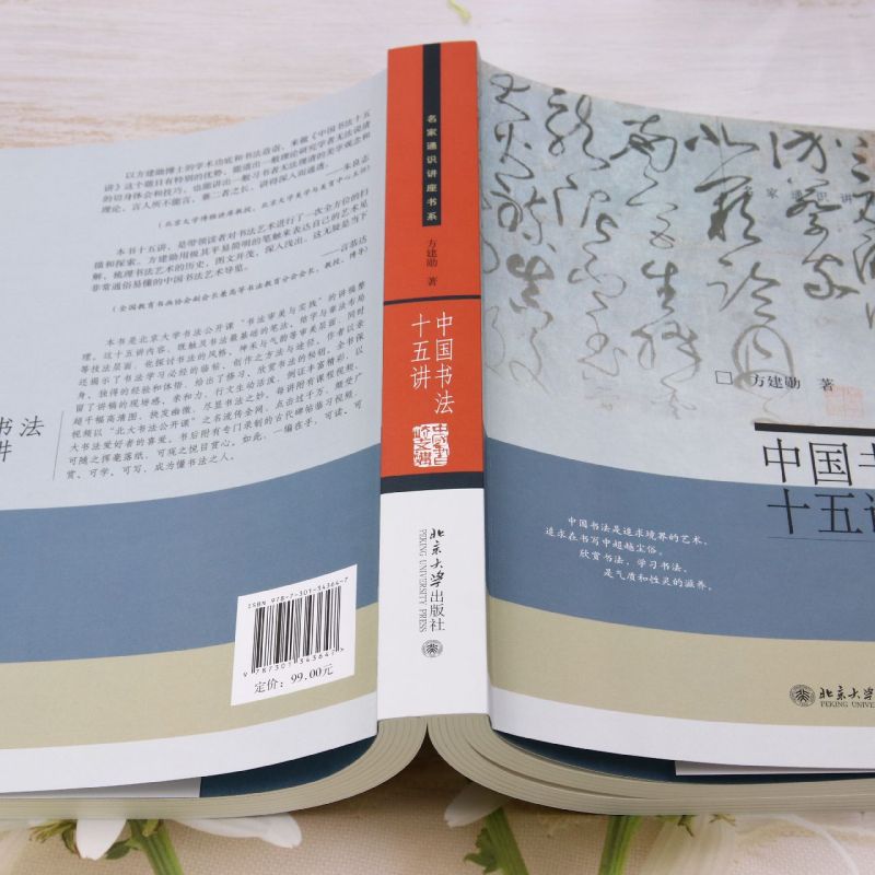[正版]中国书法十五讲 方建勋 每讲附有课程视频 附古代碑帖临习视频 北大书法公开课 书法审美与实践讲稿整理高清大图