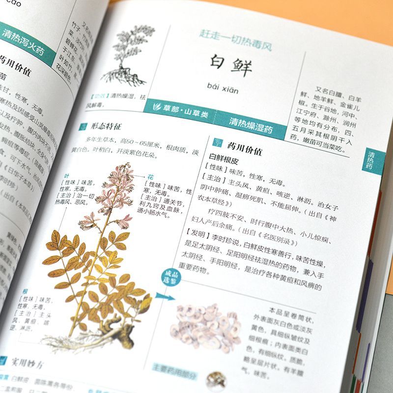 [醉染正版]正版 图解本草纲目极简养生速查全书 中草药鉴别功效科普百科大全 中医基础知识 超多种常用常见中草药高清大图