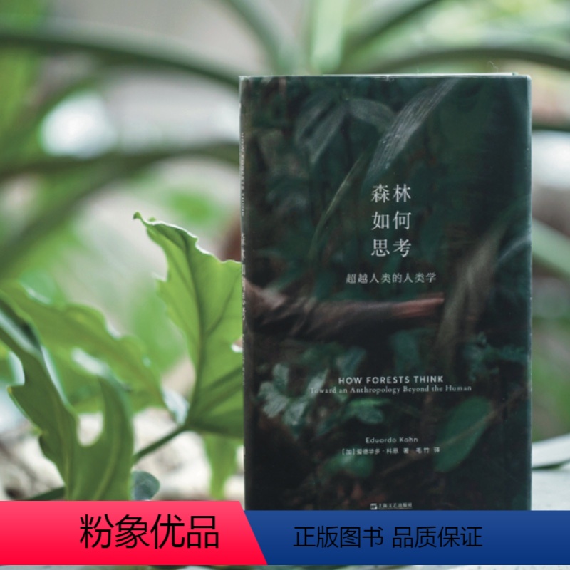 【正版】图书 森林如何思考 上海文艺出版社 新行思 艺文志eons 出品 【加】爱德华多·科恩(Eduar