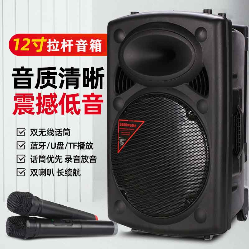 启诺 QN-M1010 10寸蓝牙拉杆音箱 大功率演出移动拉杆喇叭音箱 带话筒 黑色