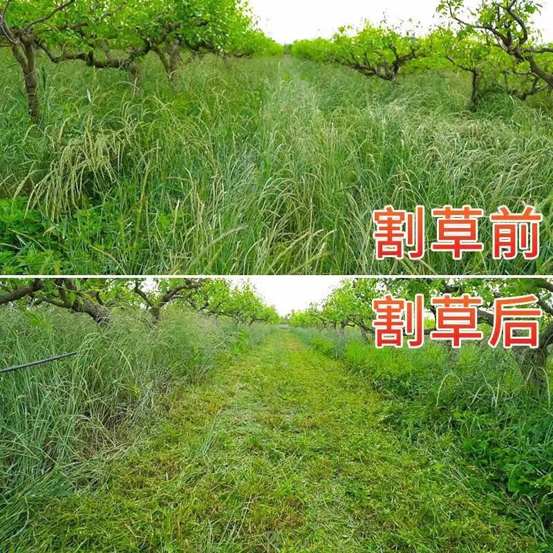 HEMUELE遥控柴油割草机履带式农用四驱自走修剪机15马力割幅120cm柴油款