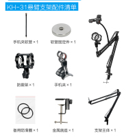 小屁虫麦克风苹果安卓电脑通用版手机k歌专用话筒 电容麦克风主播直播录音设备 MC-093变声版+专业主播大支架