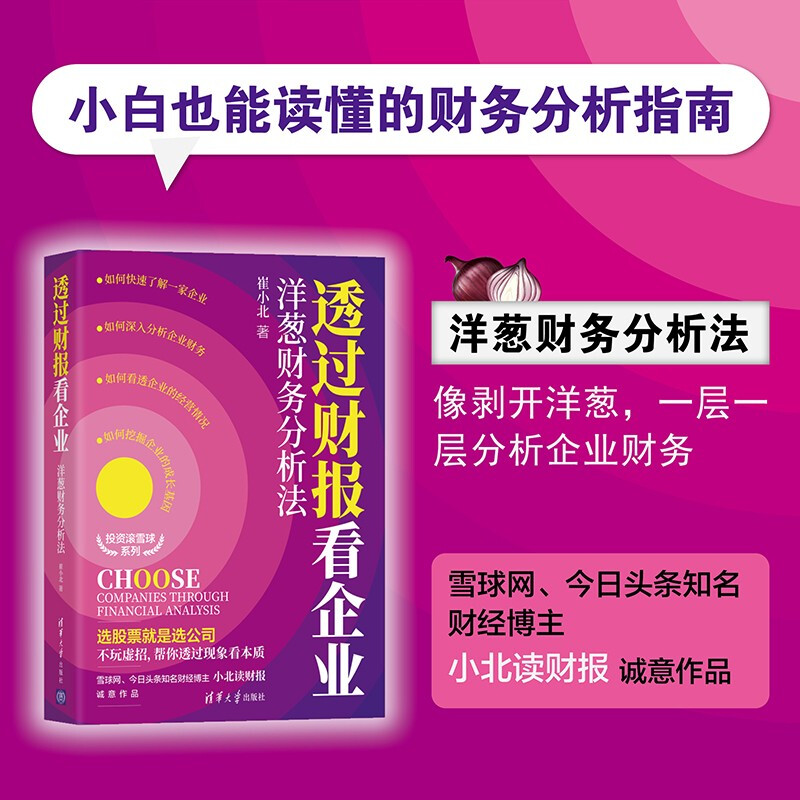 [正版]透过财报看企业 洋葱财务分析法 崔小北 著 金融与投资高清大图