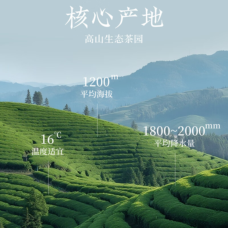 忆江南 特级碧螺春茶叶礼盒绿茶2025送父母长辈礼物松风煮茗160g高清大图