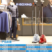 立挺LT-9型家用 服装店用 商用蒸汽烫斗全铜接口挂烫机 寿命更长 耐用型烫衣机