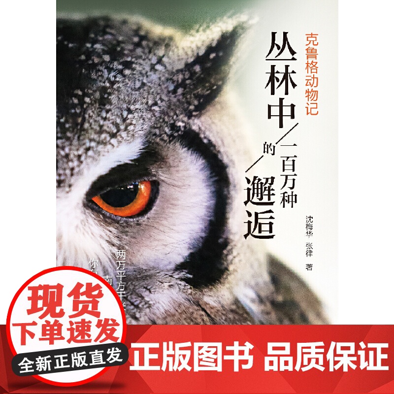 丛林中的一百万种邂逅克鲁格动物记 沈梅华张律小虎小豹化石南非自然保护区野生动物保育自然栖息大象长颈鹿 上海科技教育出版社高清大图