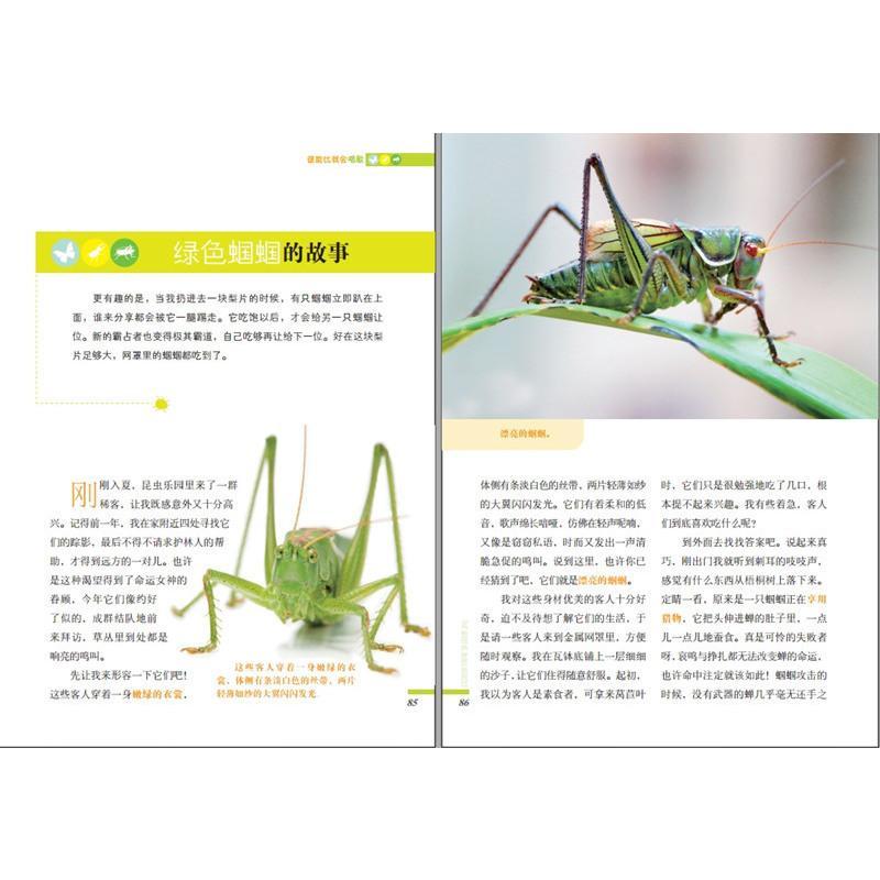 昆虫记 少儿版 海量阅读大眼睛球球科普经典巨著系列 教育部*课外阅读书目 青少年*的科学巨著 少儿读物 江西人民出