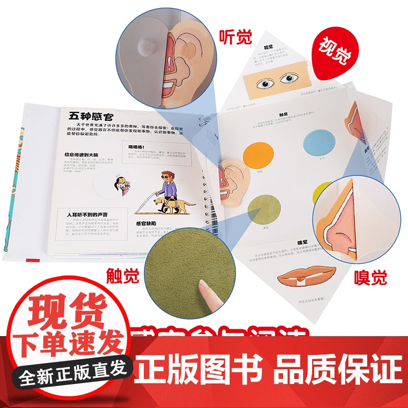 我们的身体 未来出版社 (法)帕斯卡尔·艾德兰 著 荣信文化 编 (法)罗伯特•巴尔博里尼 绘高清大图