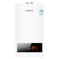 新品 火王(Hione)天然气壁挂炉 燃气采暖热水炉 家用暖气炉 采暖洗浴两用炉 L1PB18-T01