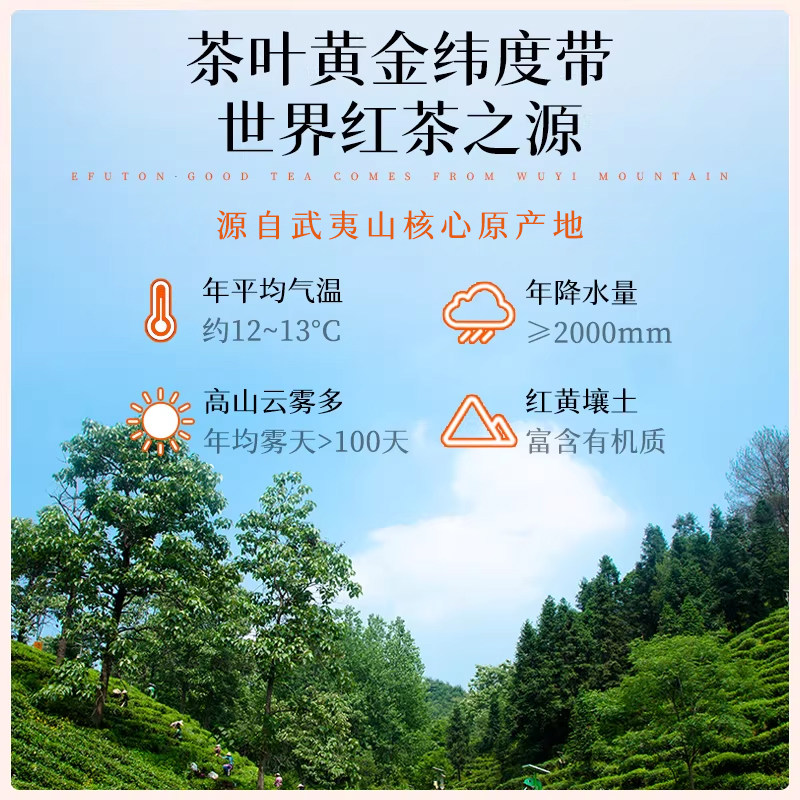 艺福堂香念丝路正山小种红茶礼盒180g/盒高清大图