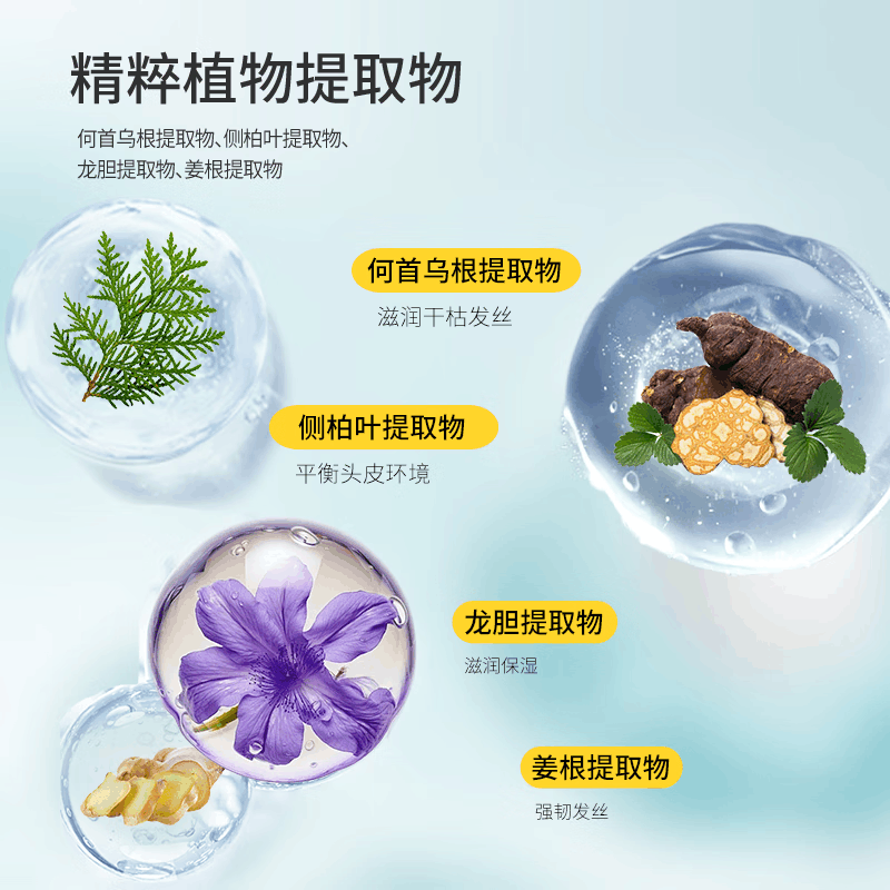 隆力奇 500ml/瓶 蛇胆清爽洗发水图片