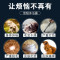 雪貂留香 宠物沐浴露 狗狗沐浴液 全犬通用3.78L