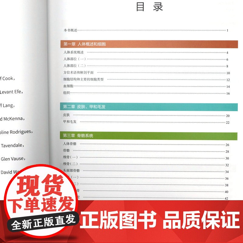 [精装]人体解剖学常用词图解 人体解剖学入门指导 解剖学术语释义词典图解涂色练习医学书籍奈特人体解剖学彩色图谱书籍高清大图