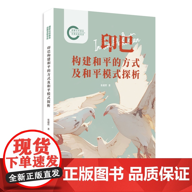 印巴构建和平的方式及和平模式探析高清大图
