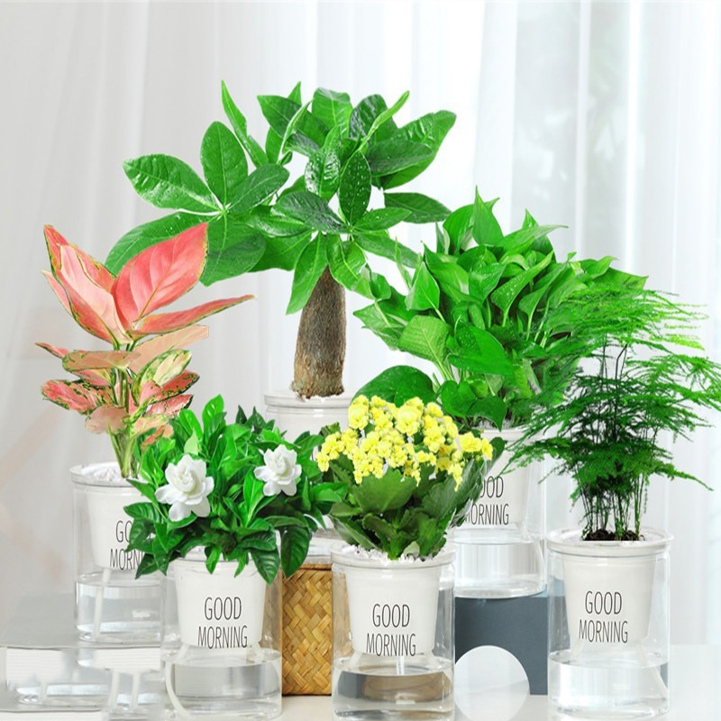 一点物】盆栽・造花・工芸盆栽・梅 | nalans.com