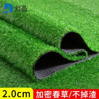 杜晶假草坪仿真草皮绿色地毯户外人造塑料人工仿生室外隔热围挡足球场人造仿真草坪草皮地毯一 平米 厚2cm