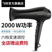 飞科电吹风机FH6266电风吹家用吹风筒罩恒温负离子宠物大功率发廊冷热风理发店专用 FH6266
