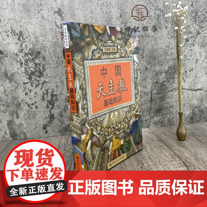 正版 中国天主教基础知识 任延黎/主编 天主教入门必读书籍 宗教文化出版社天主教史天主教书籍宗教书籍高清大图