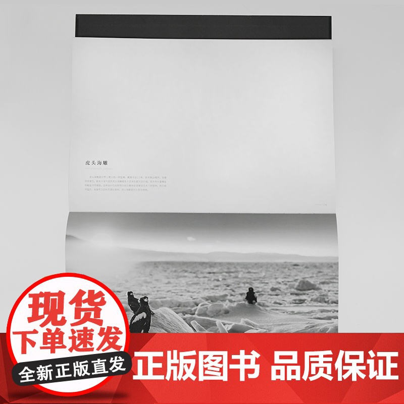 [央视网]第六次物种大灭绝它们即将消逝 9787568074308(法) 阿兰·埃尔努 (Alain Ernoult)高清大图