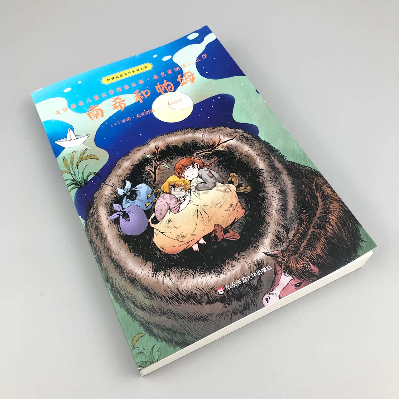 [正版] 南希和帕姆 世界儿童文学名家名作 雅众 经典儿童文学作品 童书 少年成长小说 感人故事 华东师范大学出版社高清大图