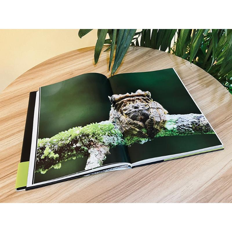 【M】自然的呢喃 微距摄影的平行世界-9787121441974