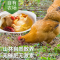 苏宁宜品推荐武夷一方田土鸡农家散养跑地鸡走地鸡新鲜现杀高品质净膛跑山土鸡整鸡净重2.3斤