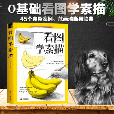 看图学素描书籍教材临摹漫画教程书人物绘画书籍彩铅手绘新手入零基础学画画自学速写水彩国画册线描工具书石膏像动物花 飞乐鸟工作 室著 摘要书评在线阅读 苏宁易购图书