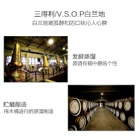 [顺丰速运]三得利VSOP白兰地 蒸馏酒 700ML 日本原产Suntor行货洋酒