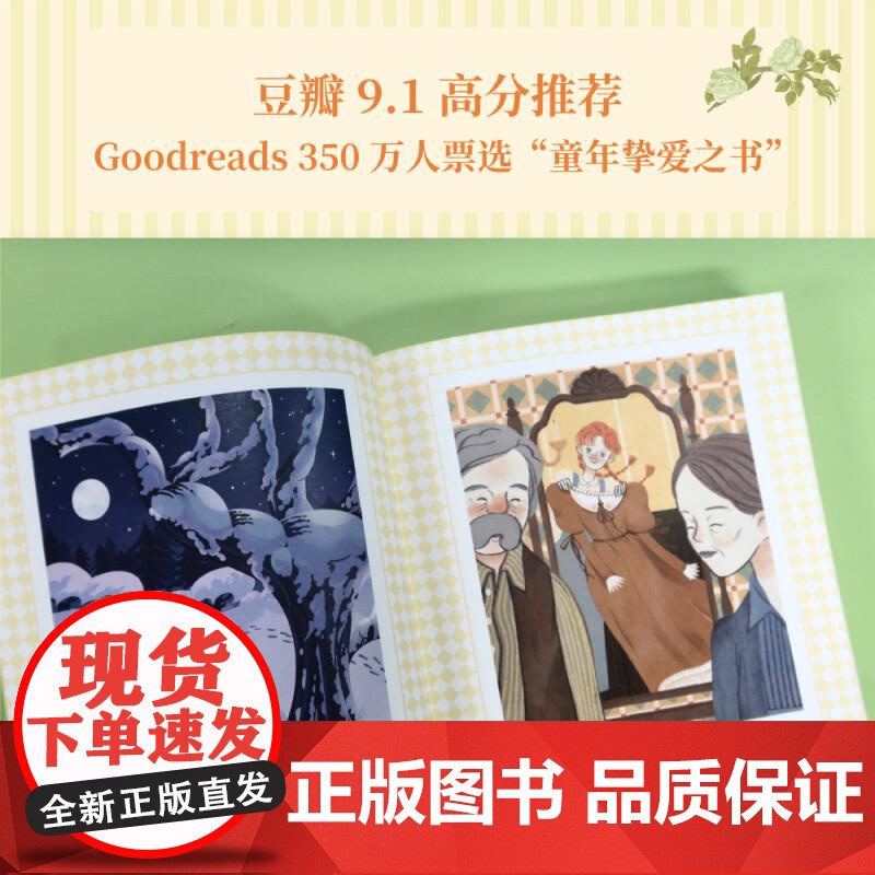 绿山墙的安妮 满怀热忱的红发少女 勇敢为自己争取专属的一席之地的故事 成长觉醒之书少女 童年 治愈 逆境 果麦文化高清大图