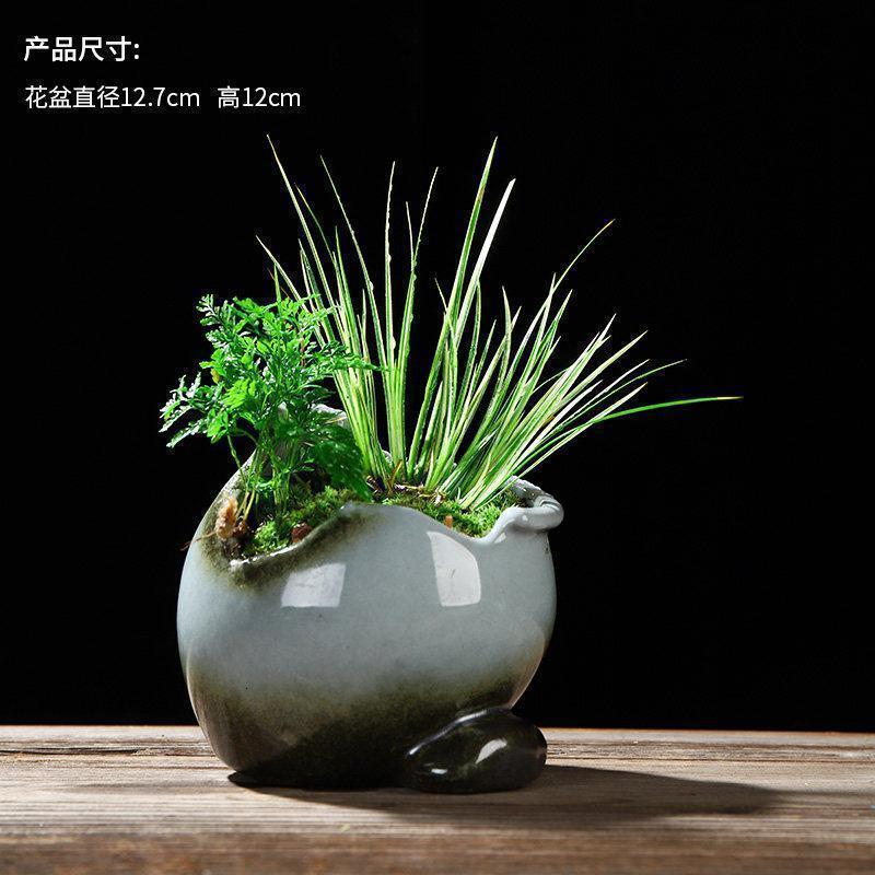 美帮汇创禅意哥窑陶瓷花盆室内家用桌面简约菖蒲袖珍椰子植物装饰品高清大图