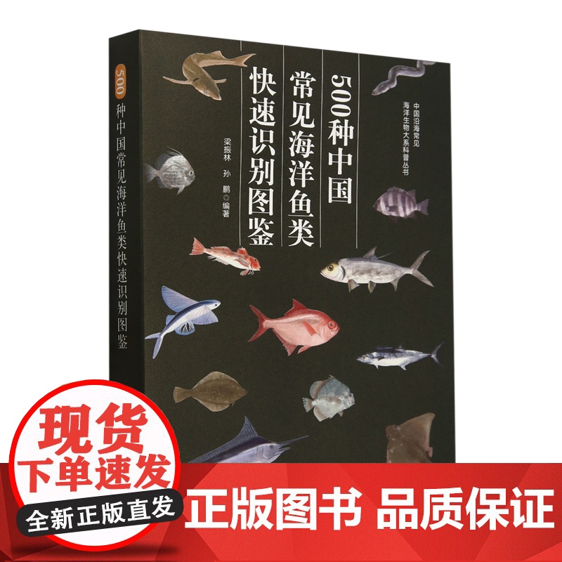 500种中国常见海洋鱼类快速识别图鉴9787109321489 /中国沿海常见海洋生物大系科普丛书 中国农业出高清大图