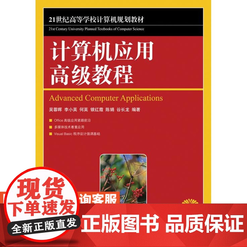 计算机应用*级教程高清大图